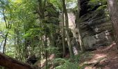 Tour Wandern Echternach - Echternach-Beaufort - Photo 20