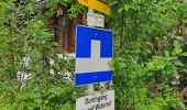 Tocht Te voet Gemeinde Going am Wilden Kaiser - Wanderweg 14 - Going - Photo 7