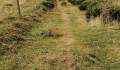 Trail Walking Les Estables - Rocher de Tourte - 02-09-2020 - Photo 7