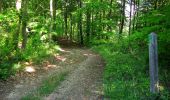 Randonnée Marche Trosly-Breuil - en forêt de Compiègne_28_les Tournantes sur le Mont Saint-Mard et sur le Mont Collet - Photo 13