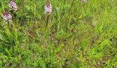 Tour Wandern Sommeval - Sommeval 10 kms - Photo 6