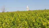 Tocht Stappen Pouilly-sur-Loire - Pouilly sur loire 58:rando dans les Vignes  - Photo 7