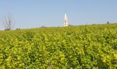 Trail Walking Pouilly-sur-Loire - Pouilly sur loire 58:rando dans les Vignes  - Photo 7