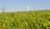 Percorso Marcia Pouilly-sur-Loire - Pouilly sur loire 58:rando dans les Vignes  - Photo 7