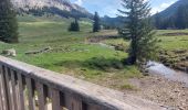 Trail Walking Fillière - plateau des Gliéres par le pas du Roc - Photo 6