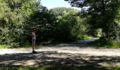 Percorso Marcia Vianden - Randonnée au  Natuurpark à partir de Vianden - Photo 5