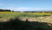 Tour Wandern Les Ormes - les Ormes - GR48 GR655 Poizay PM - 9.4km 100m 2h05 - 2024 07 18 - Photo 1