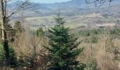 Tour Wandern Dieffenthal - Dieffenthal - Photo 3