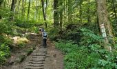 Tour Wandern Waldbillig - Müllerthal W7 par la déviation  - Photo 4