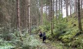 Trail Horseback riding Bastogne - Livarchamps 18/09/2022 - Photo 4