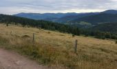 Excursión Bici de montaña Orbey - Les Balcons d'Orbey (version courte) - Photo 3