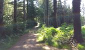 Percorso Bicicletta elettrica Pluvigner - Boucle dans la forêt de Florange à partir de Bieuzy Lanvaux - Photo 1