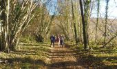 Trail Walking Boos - 20211123-Boos - Photo 11
