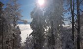 Trail Snowshoes Sarcenas - Le  Mont Fromage et ses crêtes - Photo 8