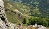 Trail Walking Saint-Étienne-de-Baïgorry - 20210520 tour depuis Izpegi - Photo 1