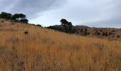 Tour Wandern Port-Vendres - anse des paulliles - cap bear via les vignes retour par le chemin côtier - Photo 6