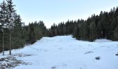 Tocht Te voet Brannenburg - Wanderweg 9 - Brannenburg - Photo 5