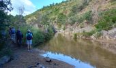 Trail Walking Roquebrune-sur-Argens - Pic Bourete - Photo 6