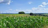 Trail Walking Anhée - au rythme des valons - Photo 9