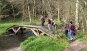 Tocht Stappen La Roche-en-Ardenne - Beausaint - Photo 11