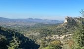 Tour Wandern Mérindol - Mérindol - Rando découverte - Mémorial et Musée des Vaudois - 1 - Photo 20