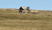 Excursión  Nasbinals - Le Puits En Velay, dernier jour, saint Chély d’Aubrac, doux braque - Photo 3