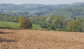 Tocht Stappen Ferrières - rando sy 3-05-2022 - Photo 10