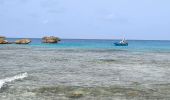 Tour Wandern Saint-François - Guadeloupe - Pointe des Châteaux (2024) - Photo 5