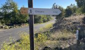 Trail Walking El Tanque - San José de Los Lianos Arenas Negra Chinyero  - Photo 1