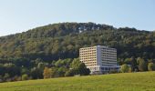 Tour Zu Fuß Aerzen - AE5 Streckenwanderung von Aerzen in Richtung Bad Pyrmont zum Spelunkenturm - Photo 6