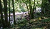 Tour Wandern Sentheim - Marcher au marché 2  - Photo 14