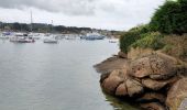 Tocht Stappen Perros-Guirec - ploanavh - Photo 6