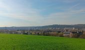 Randonnée Marche Liège - tour au sud de Liège - Photo 7