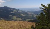 Tour Wandern Rochejean - Mont d'or  - Photo 5