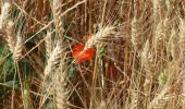 Tour Wandern Clansayes - SityTrail - Clansayes Le Rouvergue 6km - Photo 3