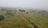 Tocht Stappen Mendionde - le mont baïgura  - Photo 19