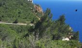 Randonnée Marche La Ciotat - la ciotat - cassis par les cretes - Photo 3