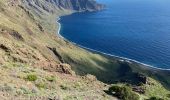 Tocht Stappen Valverde - Camino de Las Playas (El Hierro) - Photo 6