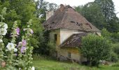 Excursión A pie Petrovice u Sušice - NS Rýžování zlata a putování po Petrovicku u Sušice a Regenu - Photo 10