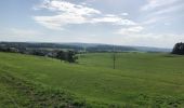 Excursión Senderismo Virton - La Charmouthienne_boucle_Ethe_15km_2019-10-13 - Photo 6