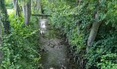 Trail Walking Marray - Marray - Les versants de la Dême - Photo 11