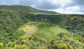 Tour Wandern Fajã Grande - Le tour des lacs de cratère à Flores - Photo 9