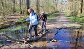 Trail Nordic walking Montgeron - MN forêt de Sénart  - Photo 2