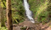 Tocht  Gérardmer - Bourrique, tour et cascade de Merelle - Photo 15