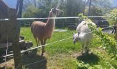 Trail Walking Saint-Martin-d'Uriage - St Niez d'Uriage - Photo 4