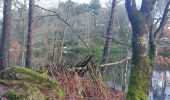 Trail Walking Camors - PR_56_Camors_CA_03_Tro-Bourk_Circuit1b_20240126 - Photo 2