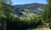 Tocht Stappen Lapoutroie - La tour du Faudé - Les Alisiers - Photo 1