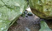 Tocht Stappen Fontainebleau - Fontainebleau Sentier Denecourt 1 prolongé - Photo 6