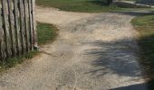 Trail Walking Rivedoux-Plage - Rivedoux plage - Photo 3