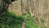 Trail Walking Trooz - Forêt 17kms - Photo 1
